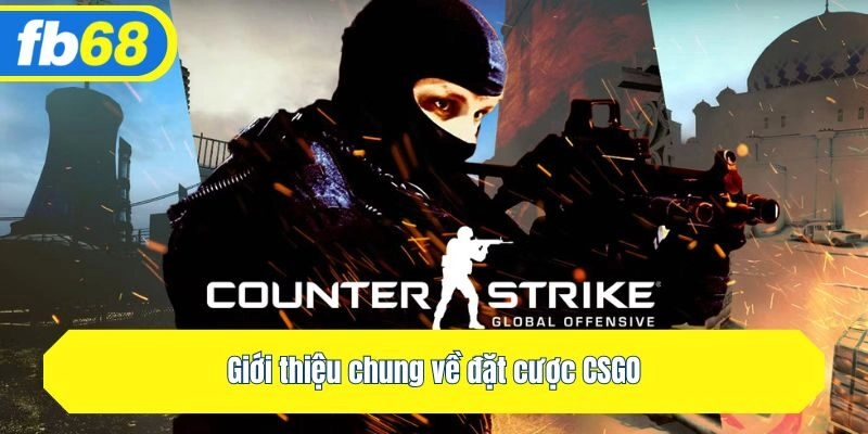 Giới thiệu chung về đặt cược CSGO